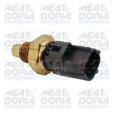 Sensor, fuel temperature